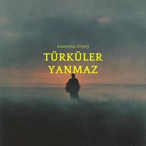 Türküler Yanmaz (Şu Sivas'ın Elinde Sazım Çalınmaz)