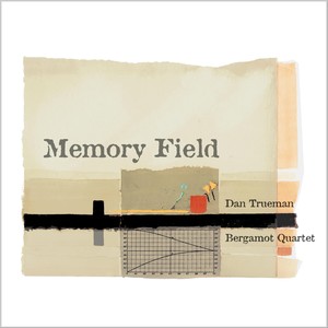Memory Field