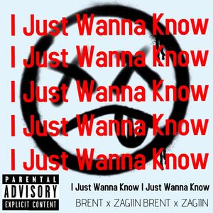 I Just Wanna Know! (Explicit)