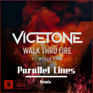 Vicetone-walk thru fire (Remix|The Ghost / Vicetone / Meron Ryan remix)