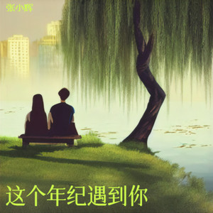 这个年纪遇到你 (伴奏)