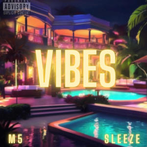 Vibes (feat. M5) [Explicit]