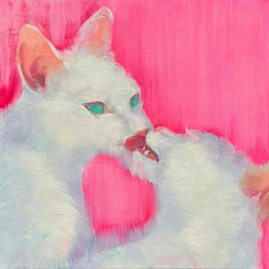 轩崽崽 - nevermeanttohurtyou(泡泡iiio)