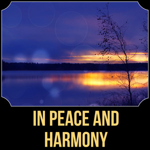 in peace and harmony - rest super music ensemble - qq音樂-千萬