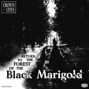 Return to the Forest of the Black Marigold