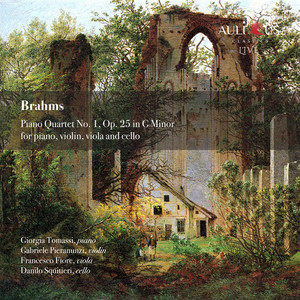 Quartet for Piano, Violin, Viola and Cello No. 1 in G Minor, Op. 25 - I. Allegro