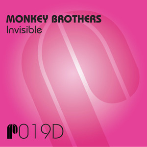 Invisible (Distant Music Re-Work)