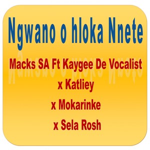 Ngwano O Hloka Nnete