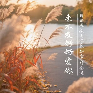 心似烟火封面