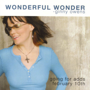Wonderful Wonder (Radio Edit)