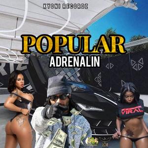 Popular (feat. Adrenalin) (Explicit)