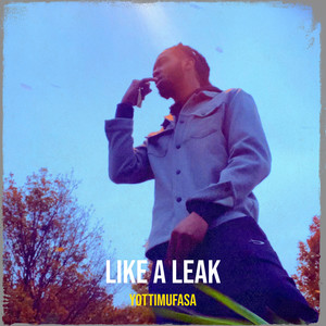 Like a Leak (Explicit)