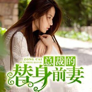 总裁的替身前妻|契约婚姻|白月光|追妻