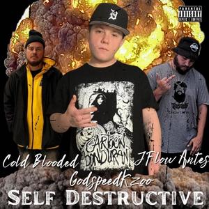 Self Destructive (feat. Cold Blooded & J-Flow Antes) [Explicit]