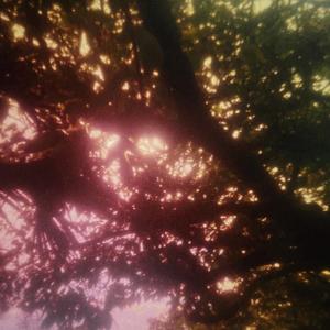 I guess I was dreaming. (Explicit)