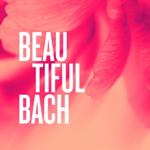 Flute Sonata in E Flat Major, BWV 1031 - Arr. for Accordion by R. Galliano - 2. Siciliano