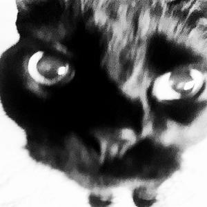 ohne mich (Explicit)