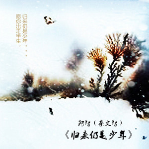 归来仍是少年 (吉他版)