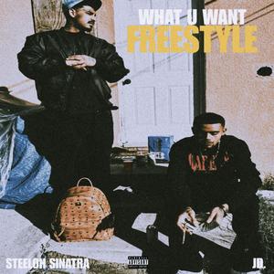 WHAT U WANT FREESTYLE (Explicit)