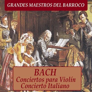 Violin Concerto No. 2 in E Major, BWV 1042 - I. Allegro