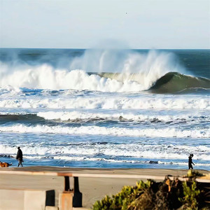 够爱-我又何必在意呢