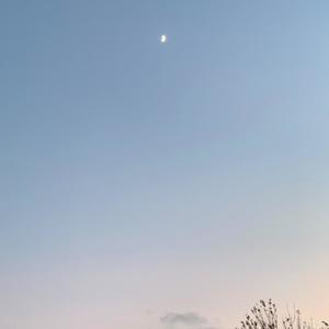 Thinking of you (feat. bbannedindc) (Explicit)