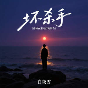 坏杀手 (你站在聚光灯的舞台)