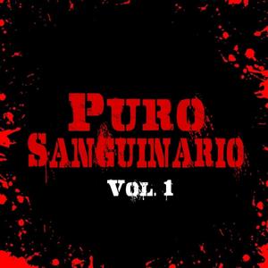 Soy Sicario (feat. Murphy Beliko, La Manada Music & Hip Hop Mafia) [Explicit]