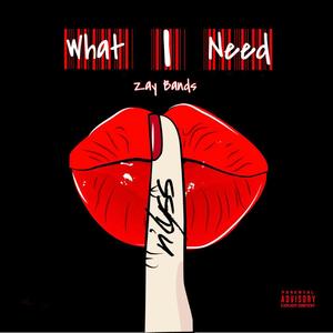 What I Need (Explicit)