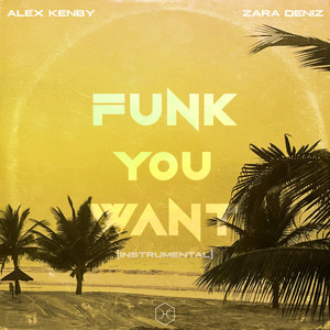 Funk You Want (Instrumental)