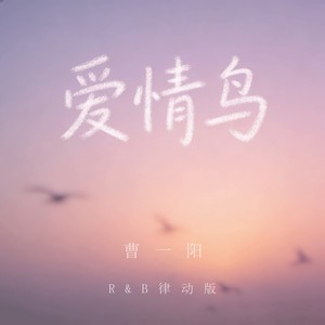 爱情鸟 (R&B律动版)封面