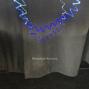 Homeland Security