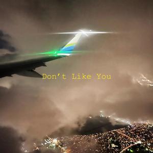 Don't Like You (feat. bern & Lawrence Chris)