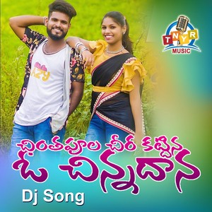 Chinthapoolal (Dj Song)