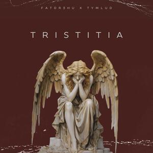 Tristitia (feat. Tymlud) [Explicit]