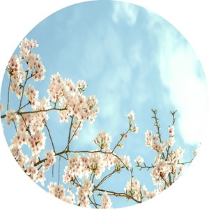 Bunkend Unc (Ramon R Remix)