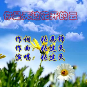 你是天边花开的云 (伴奏)
