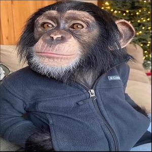 JohnisGRV - Never seen again(feat. Nayy) (Explicit)