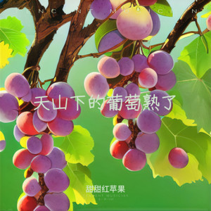 天山下的葡萄熟了