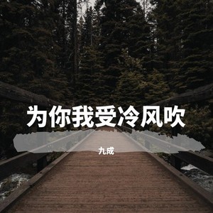 为你我受冷风吹
