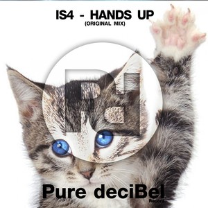 Hands Up (Original Mix)