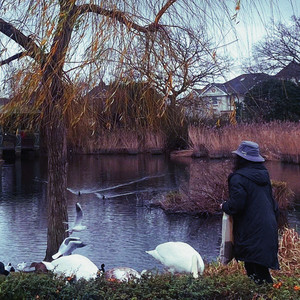 Feel the Rain (Acoustic)