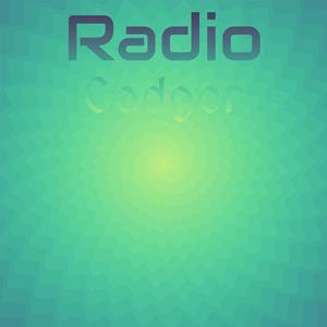 Radio Cadger