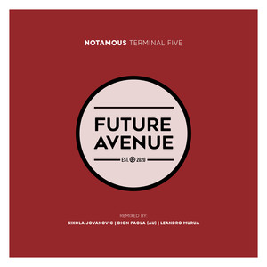 Terminal Five (Nikola Jovanovic Remix)