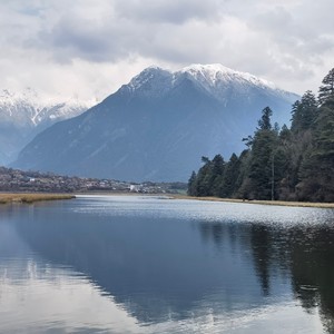 山海情深