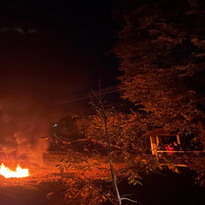 vena (feat. bagretrieverlex) (Explicit)