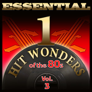 Essential One-Hit Wonders of the 80s-Vol.3