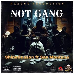 NOT GANG (feat. Sav Montana) [Explicit]