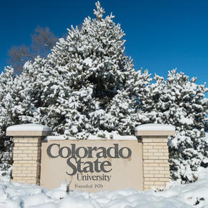 CSU (feat. 808 nami) (Explicit)