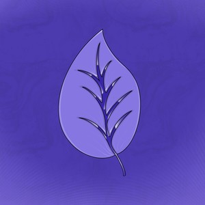 Gars Modifé (feat. J0R0) (Explicit)